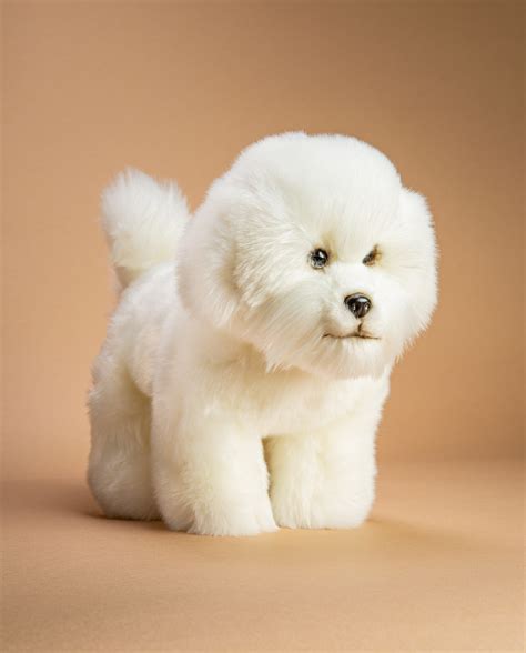 bichon frise soft toy.